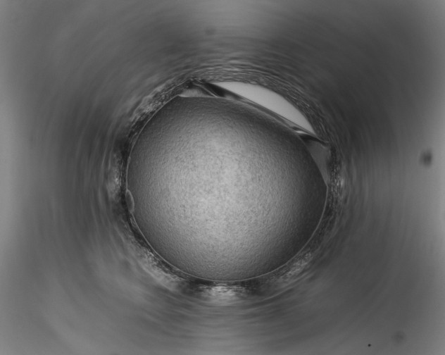 X0000115800566200911271253