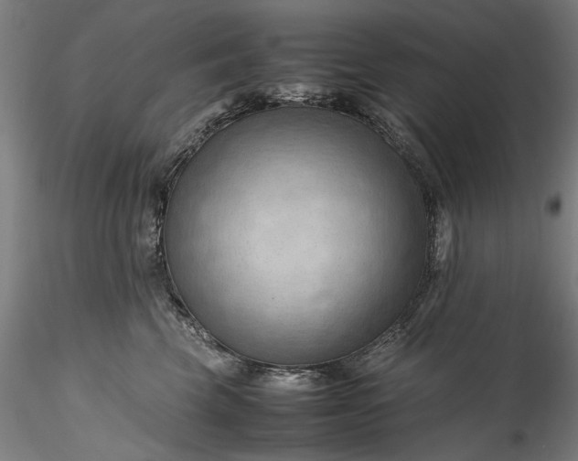 X0000115800569200911271253