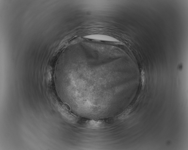 X0000115800570200911271253