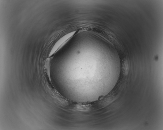 X0000115800571200911271253