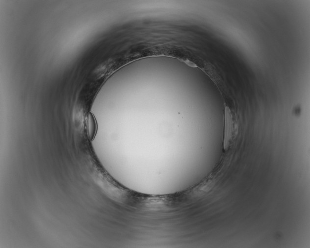 X0000115800574200911271253