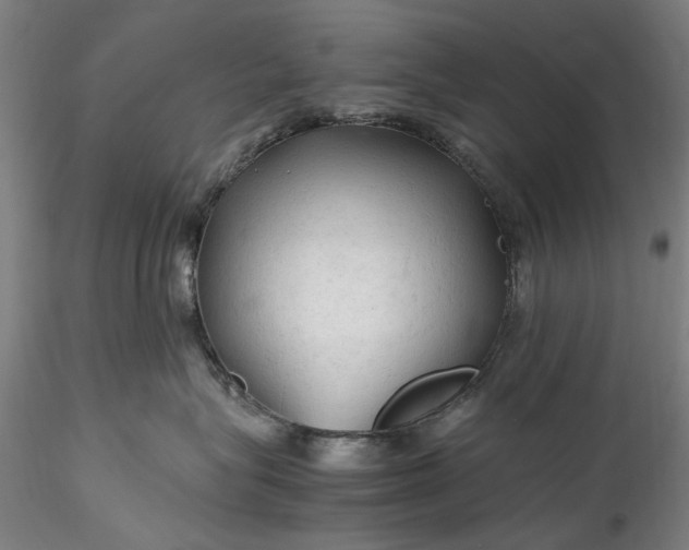 X0000115800575200911271253