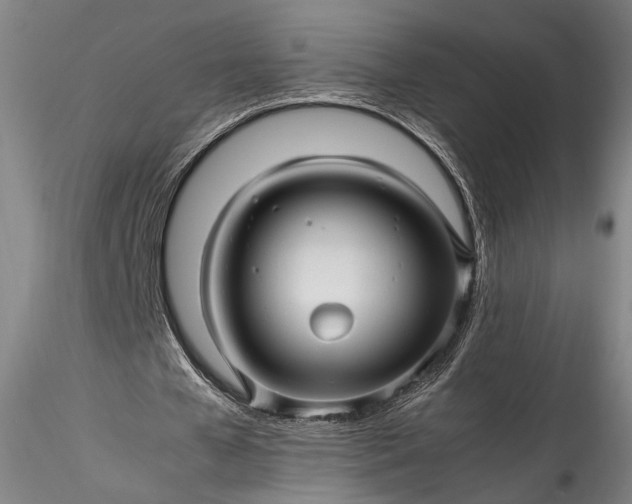 X0000115800577200911271253