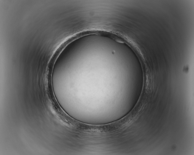 X0000115800580200911271253