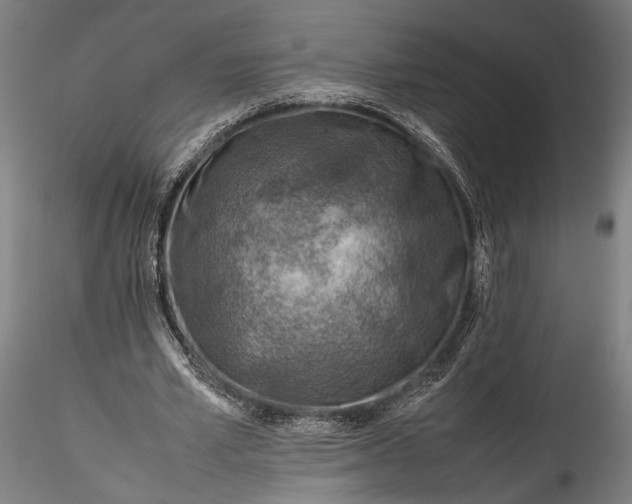 X0000115800581200911271253