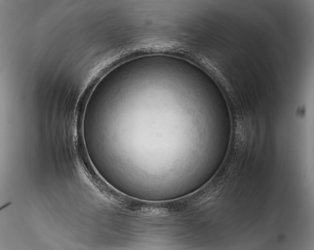 X0000115800582200911271253