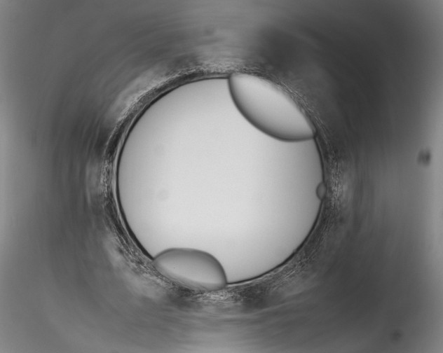 X0000115800583200911271253