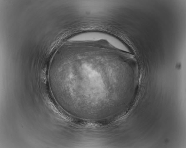 X0000115800585200911271253