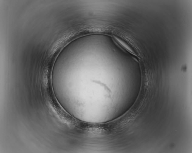 X0000115800586200911271253