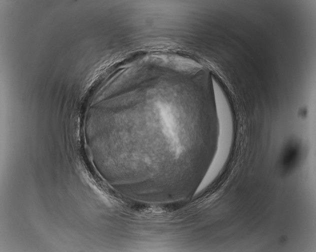 X0000115800589200911271253