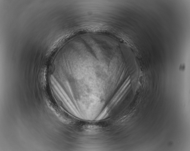 X0000115800590200911271253