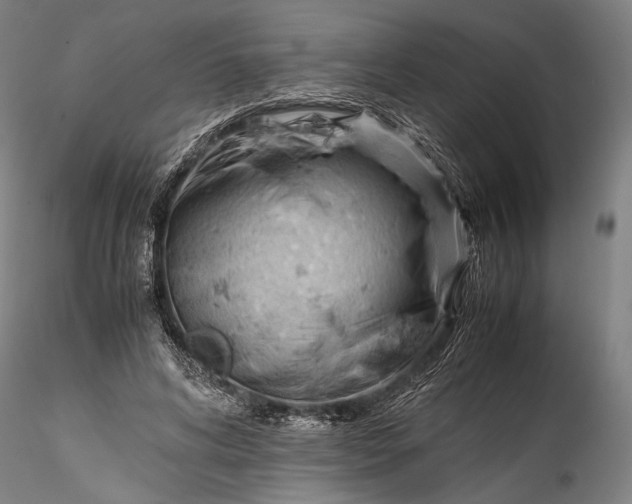 X0000115800592200911271252