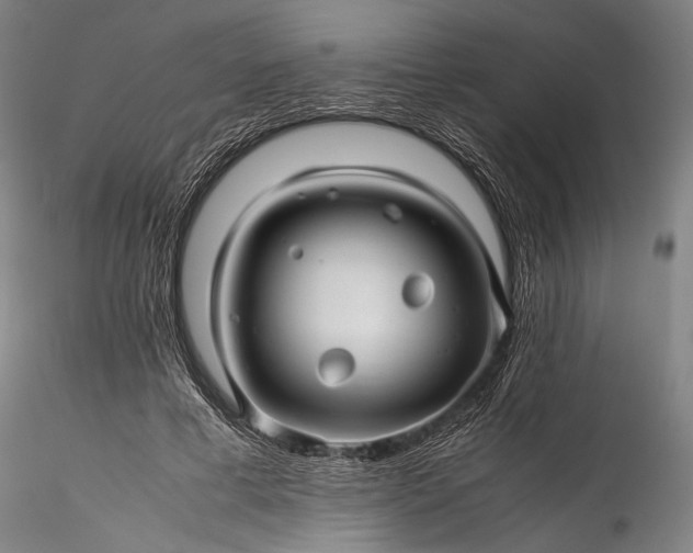 X0000115800593200911271252