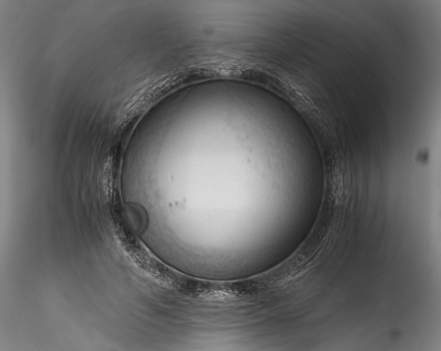 X0000115800594200911271252