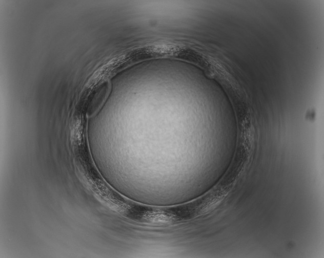 X0000115800597200911271252