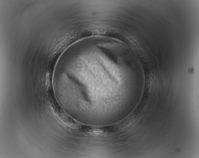 X0000115800598200911271252