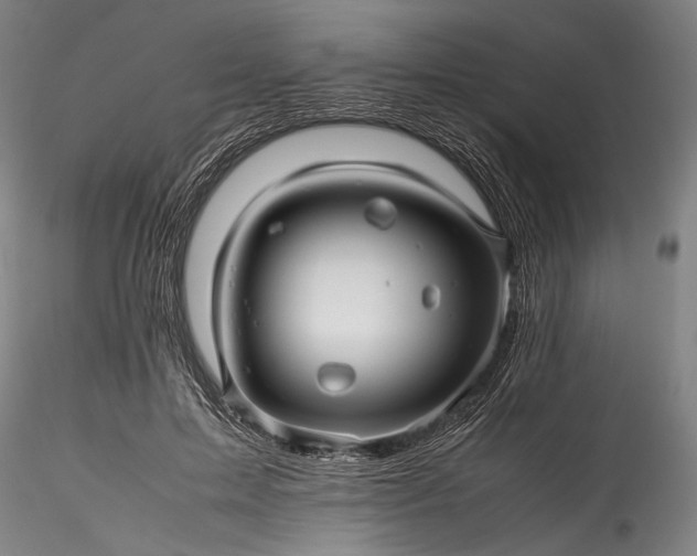 X0000115800599200911271252