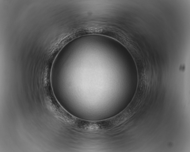 X0000115800600200911271252