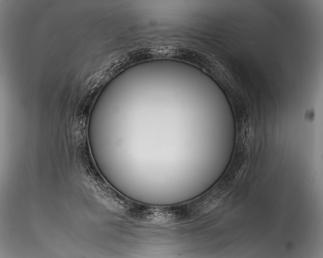 X0000115800601200911271252