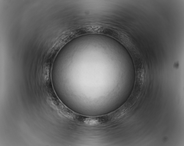 X0000115800602200911271252