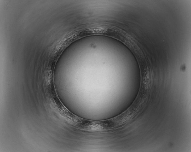 X0000115800604200911271252