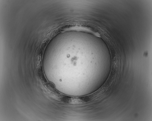 X0000115800605200911271252