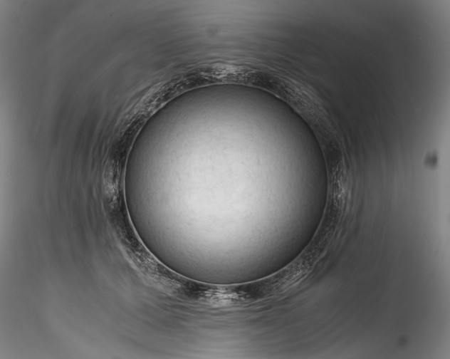 X0000115800607200911271252