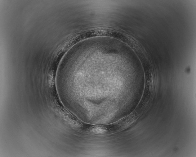 X0000115800610200911271252