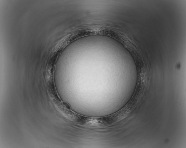 X0000115800611200911271252