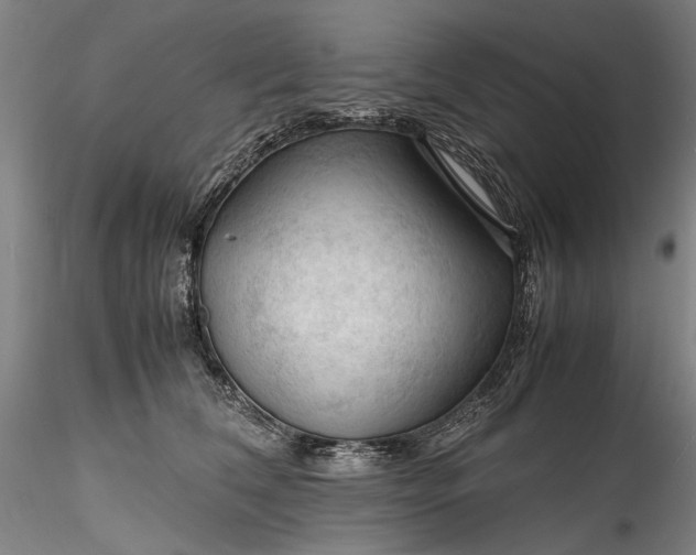 X0000115800612200911271252