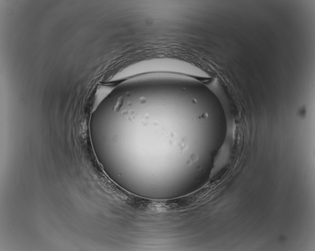 X0000115800613200911271252