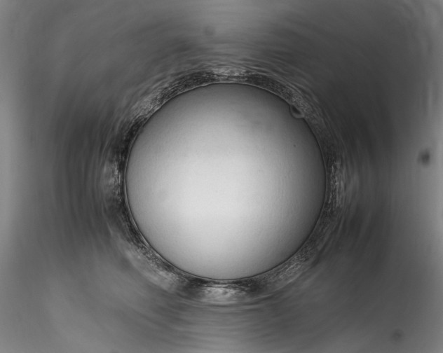 X0000115800614200911271252