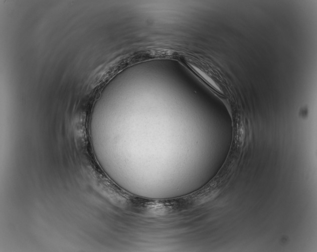 X0000115800616200911271252