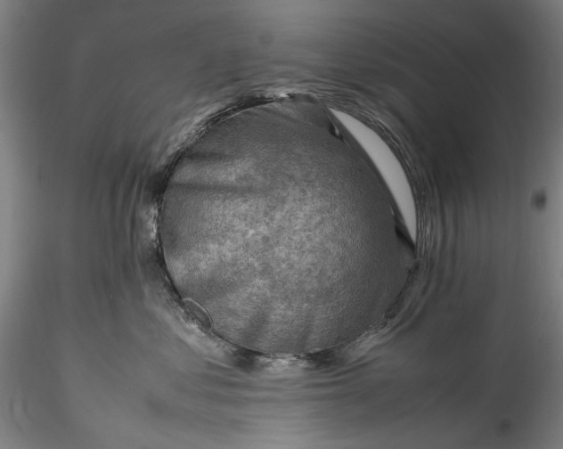 X0000115800621200911271252