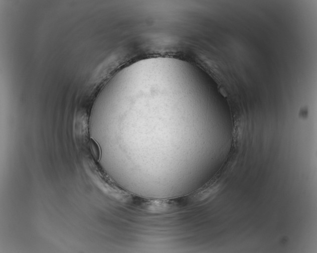 X0000115800623200911271252