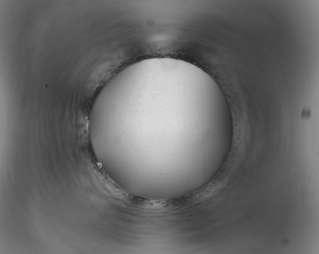 X0000115800624200911271252