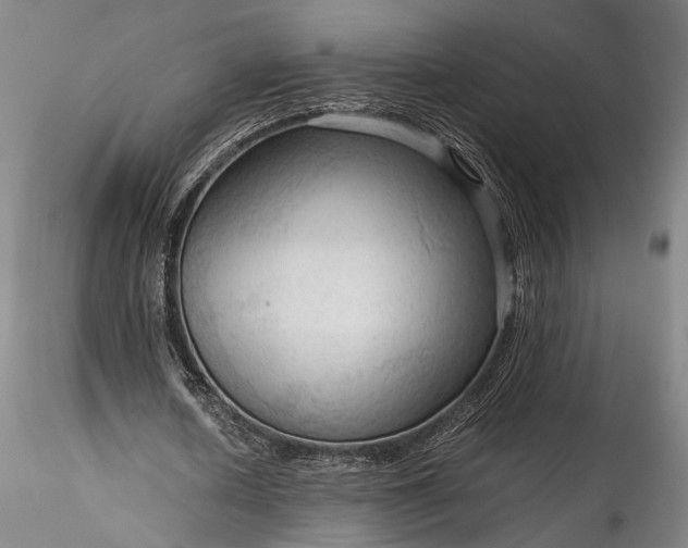 X0000115800626200911271251