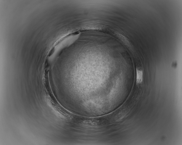 X0000115800627200911271251