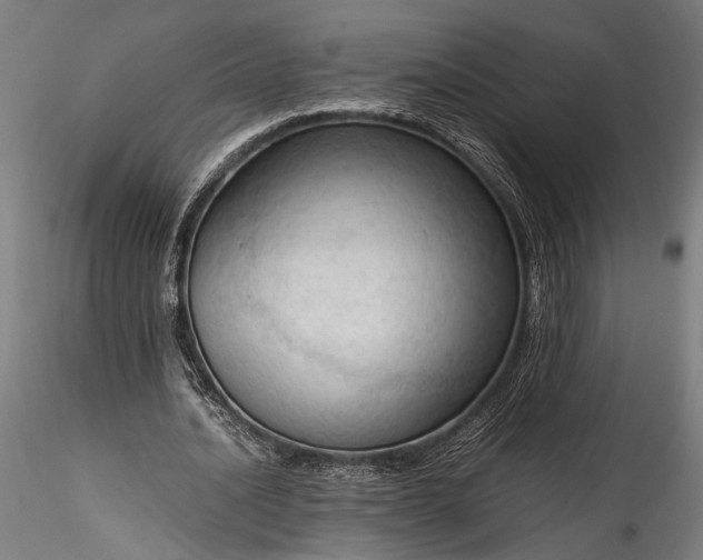 X0000115800628200911271251