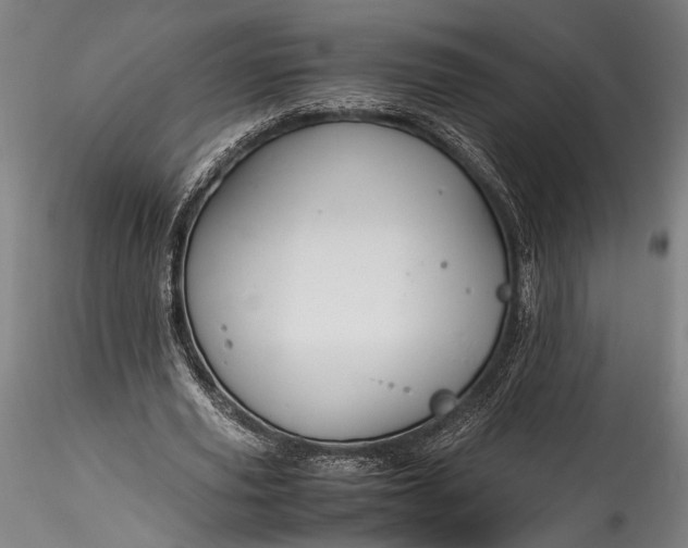 X0000115800629200911271251