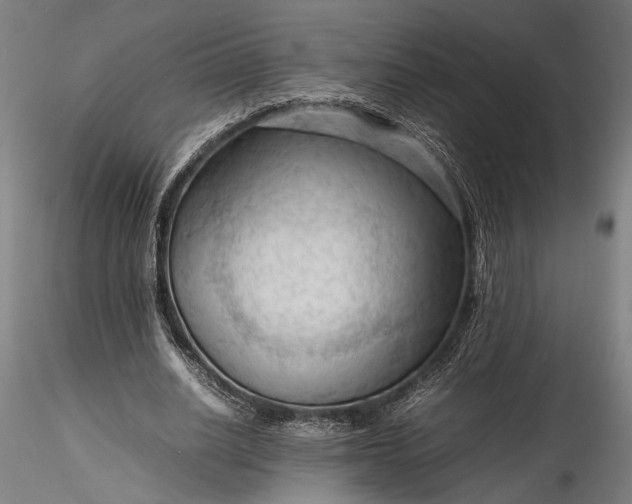 X0000115800630200911271251