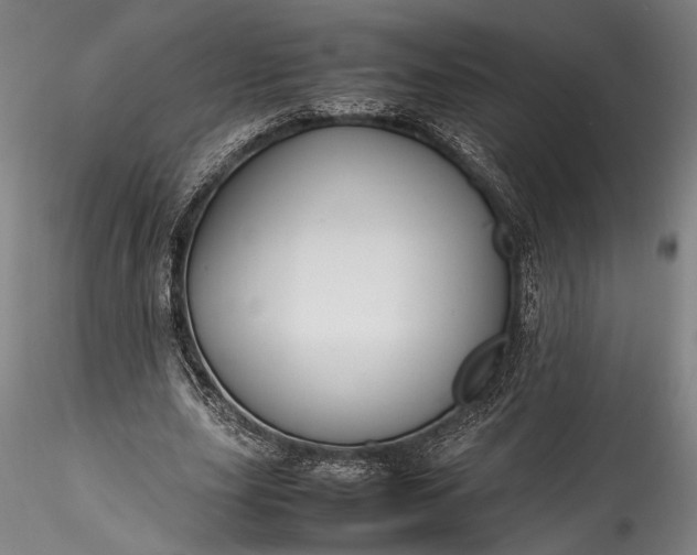 X0000115800631200911271251