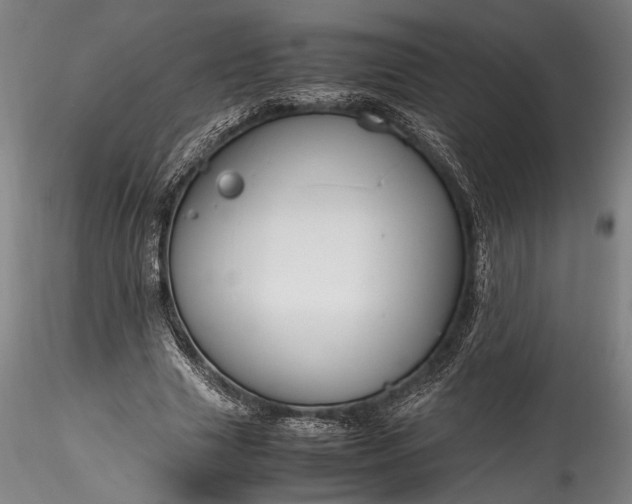 X0000115800633200911271251