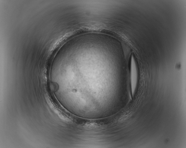 X0000115800634200911271251