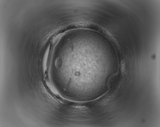 X0000115800637200911271251