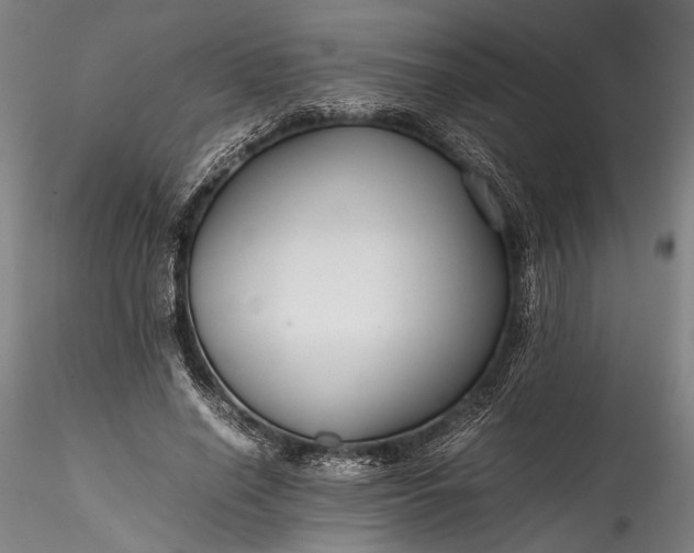 X0000115800638200911271251