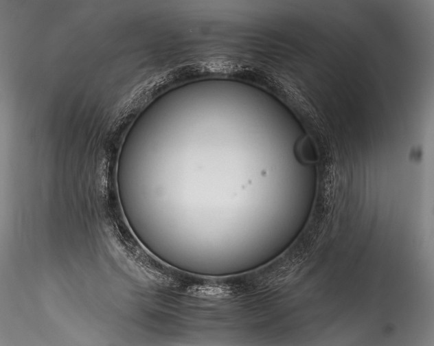 X0000115800639200911271251