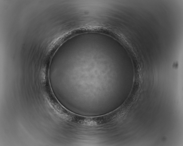 X0000115800640200911271251