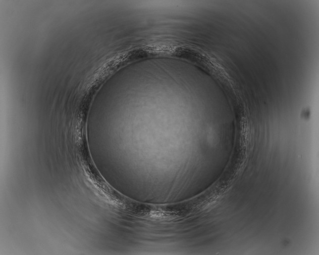 X0000115800641200911271251