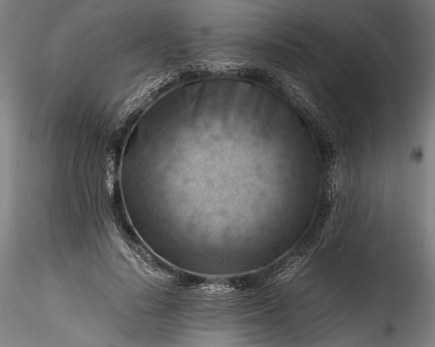 X0000115800644200911271251